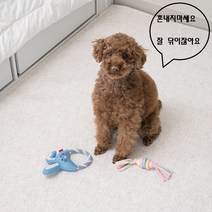 거실러그 미니 이케아 침실 사각 북유럽 빈티지 이쁜 원룸러그 아이방 매트