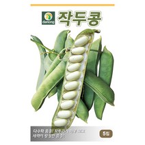 작두콩씨앗 30립XC