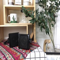 STUDIO ACOUSTICS 매장용방수스피커 60W SA-300, 화이트