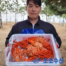 <산지직송> 울진 후포리 자숙박달홍게 3kg (8-10미) 당일조업 수율보장 자숙홍게 박달홍게 붉은대게 포항홍게 홍게찜, 박달홍게 3kg (8~10마리/자숙)” class=”wr-img”></a></div></p></div></p></div></p></div><div class=