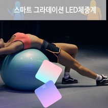 스마트 그라데이션 정밀 체중계, 스마트체중계 민트