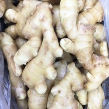 [천천중국식품]중국생강 채소1kg, 1개, 1kg