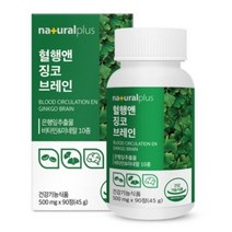 혈앵앤 징코 브레인 플라보놀 배당체 36mg 은행잎추출물 함유 비타민E 아연 보충 건강기능식품, 1박스, 90정