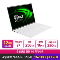 LG전자 2022 그램 16, 256GB, Free DOS, 16ZD90Q-EX76K, 스노우 화이트, 코어i7, 16GB