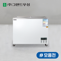 우성 냉동 쇼케이스 냉동고, 310L