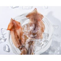 동해안 당일바리 반건조오징어 중소 10마리900g 왕특대 2마리200g최상품 안주 캠핑용, 최상품 피데기 소 900g내외(10마리)