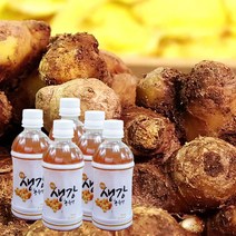 [완주 봉동] 생강농축액 340ml * 5병, 단품