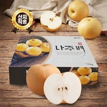 (웰빙나주배농장) 명품 햇살품은배 나주배 신고배 가정용 7.5kg 8~13과내외 제수용/가정용