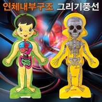 인체 내부구조 그리기 풍선 (인체골격과 내장기관), 상세설명참조