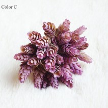 테라스 마당 베란다 셀프 옥상 인공 매트 롤잔디시뮬레이션 꽃 녹색 식물 플라스틱 6 가지 포멜로 감귤류, 03 C