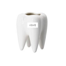 [해외직구] 치과 개업 4개세트 세라믹 미니화분 병원인테리어 마케팅 다육이 펜홀더