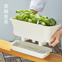 자급자족라이프 자동급수 화분 세트 (배양토+씨앗) 저면관수/베란다 텃밭 화분/상추 바질 루꼴라 방울토마도 중 2택, 방울토마토, 브라운