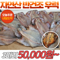 국내산 자연산 반건조 우럭 300g 3마리 반건조생선 양식X, 자연산 반건조 우럭 100~190g 3마리