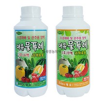 대유 물푸레 2호 A액+B액 500ml 세트 과채류 과일 채소 수경재배 친환경 식물영양제 관주용 양액비료