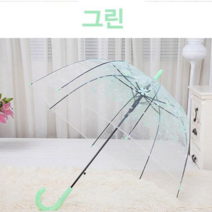 우산에 벛꽃이 내렸습니다 돔형 우산 1+1 장우산 투명우산