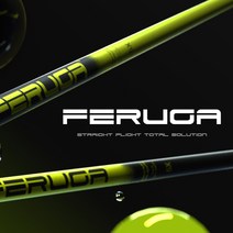 조지아 페루가 PERUGA PBS 드라이버 샤프트(일반 헤드 스피드용/기존샤프트 반납할인), 테일러메이드, 40(R)