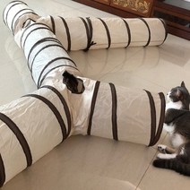 발라당 고양이 바스락 캣터널, 1개, T-type