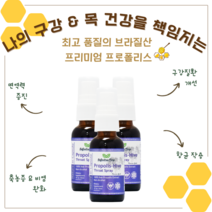 인피니트리 캐나다 원액 프로폴리스 하이브 30ml 구강 목 건강 항균 스프레이 비염 영양제 3병세트