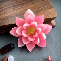 아리야 아기자기 연꽃 마그넷 냉장고자석, 핑크 중
