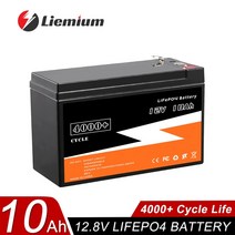 딥 사이클 배터리 팩 12V 6Ah 10Ah 20Ah 50Ah 100Ah lifepo4 충전기 BMS 내장 어린이 스쿠터용 세금 없음, 2.12V 10AH-P