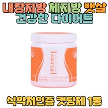 체치방 내장지방 건강한 뱃살 다이어트 가르시니아 체지방줄이는법 하체비만 허벅지안쪽살빼기 복부비만 식욕조절 개미허리 40대다이어트 얼굴살빼는법 1달다이어트