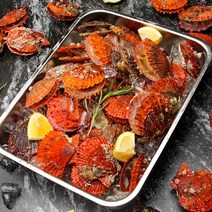 자연산 국내산 통영 가리비 1kg (비단가리비 홍가리비), 홍가리비1kg