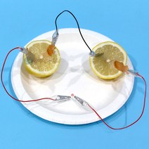 안전 집게 과일전지(LED 1인용)