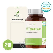 관절 연골 보스웰리아 정 알약 캡슐 정제 인도산 유향나무 원물 추출 분말 고함량 보스웰릭산 성분 무릎관절 손목 손가락 뼈 영양제 상어연골 초록입홍합 효능 보수엘리아 추천 먹는법, 2병, 600mg x 120정
