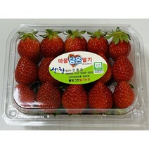 산지직송 산청 딸기농장 500g 1kg 설향 딸기 생딸기, 특(3*4) 1kg