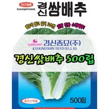 경신종묘 경신쌈배추 씨앗 500립 파종용 종자