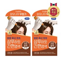 엘라스틴 샴푸하듯 간편염색약 60g, 2개, 자연갈색