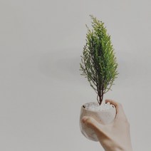 캔들이케아 L 히노키 프래그런스오일 국내산 10ml