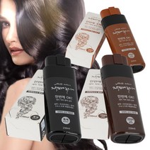 한방에샴푸 염모제 염색 새치 커버 갈변 500ml 2개 기능성 샴푸 자연에녹다, 진한갈색 2개