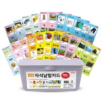 자석나라 자석낱말카드120 (총240p), 38 x 28 x 14.5cm