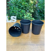 왕도매 대량구매) 이색포트 12cm 롱) 검정 비닐포트 학습용 모종화분 미니화분 재배분 컵포트 12구연결트레이