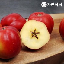 자연식탁 [신품종]가을스타 고당도 영주 별사과 1.2kg 중과(18과내외)