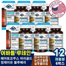 60대70대80대 시력영양제 눈피로개선 눈침침 성인눈관리 시력유지 눈좋아지는법 안압낮추는법 눈피로회복제 눈아플때 30대40대50대 눈이물감 눈충혈 노인 노년 눈운동방법 루테인복용법