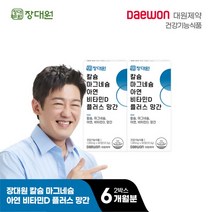 [장대원] 대원제약 칼마디 칼슘+마그네슘+아연+비타민D+망간 (2박스/6개월), 상세 설명 참조, 상세 설명 참조