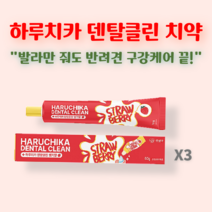 펫생각 바르는 애완견 반려견 개 강아지 용품 애견 치석 치아 관리 구취 입냄새 제거 양치 구강케어 천연 딸기맛 메론맛 치약, 딸기맛 60g 3개
