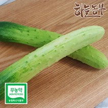 하늘농부 친환경 오이, 1봉, 오이 5입