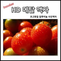 HD 초고화질 메탈 액자, 20 x 30 (50.8cm x 76.2cm)