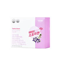 애터미 소포라퀸 뼈 건강 갱년기 여성 호르몬 926qw, 애터미e 소포라퀸 550mg 120캡슐