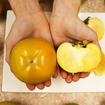 창녕 달콤한 태추단감 4.5KG, 대과 4.5KG 내외 (17-20과)