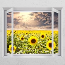 꾸밈 ic286-구름밑해바라기창문그림액자 시트지, D타입-엘레강스실버