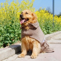 텔리 입으면 마르는 반려동물 드라이 가운, 반려동물가운 브라운