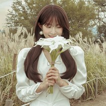 가발매니아 롱C컬펌 62cm 더 썸 위그 통가발 전체가발 웨이브 (하이소프트사), 초코브라운