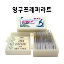 눈으로배우는 동물세포 현미경표본 세트 과학학습 초등학생 표분 영구 미세구조