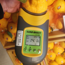 제주 특명품 한라봉 천혜향 3kg 설날 명절 선물세트 고당도 14브릭스, 천혜향 대과3kg(8-10과)