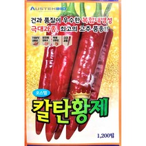 23년도 칼탄올키퍼 고추씨앗1200립 탄저병 칼라병 복합내병계 농우씨앗