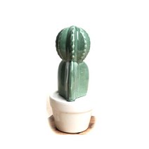 [박씨상방] 도자기 비모란 선인장, 단품